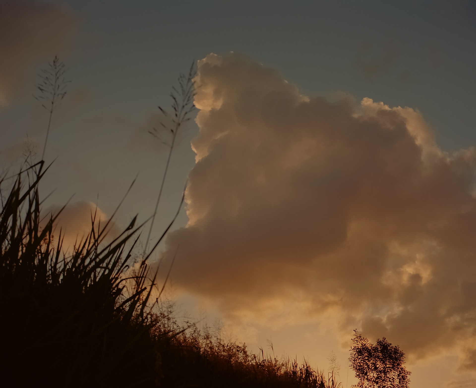 [Land for Sale] Highgrove Estate, Deebing Heights OpenLot